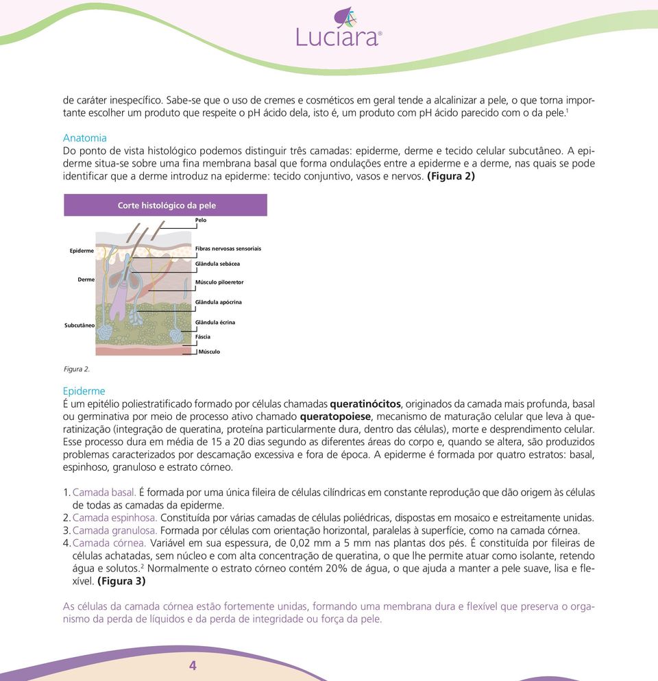 da pele. 1 Anatomia Do ponto de vista histológico podemos distinguir três camadas: epiderme, derme e tecido celular subcutâneo.