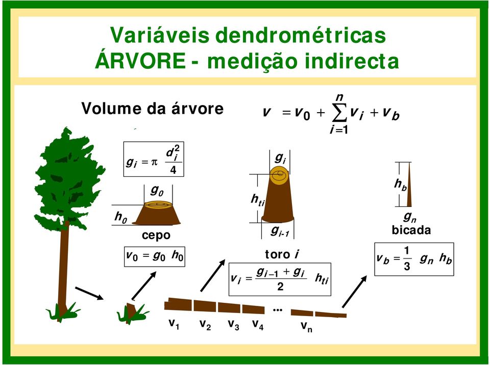 0 h b h ti h 0 v = cepo 0 g0 h0 v i g i-1 toro i gi g = 1 +