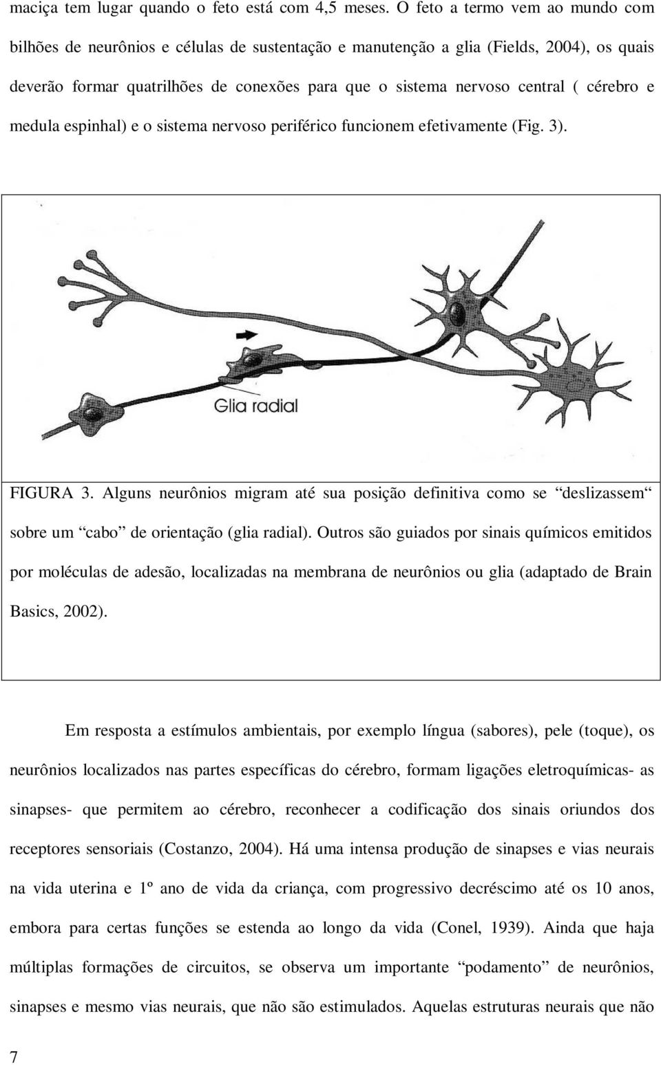 cérebro e medula espinhal) e o sistema nervoso periférico funcionem efetivamente (Fig. 3). FIGURA 3.