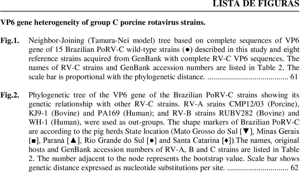 with complete RV-C VP6 sequences. The names of RV-C strains and GenBank accession numbers are listed in Table 2. The scale bar is proportional with the phylogenetic distance.