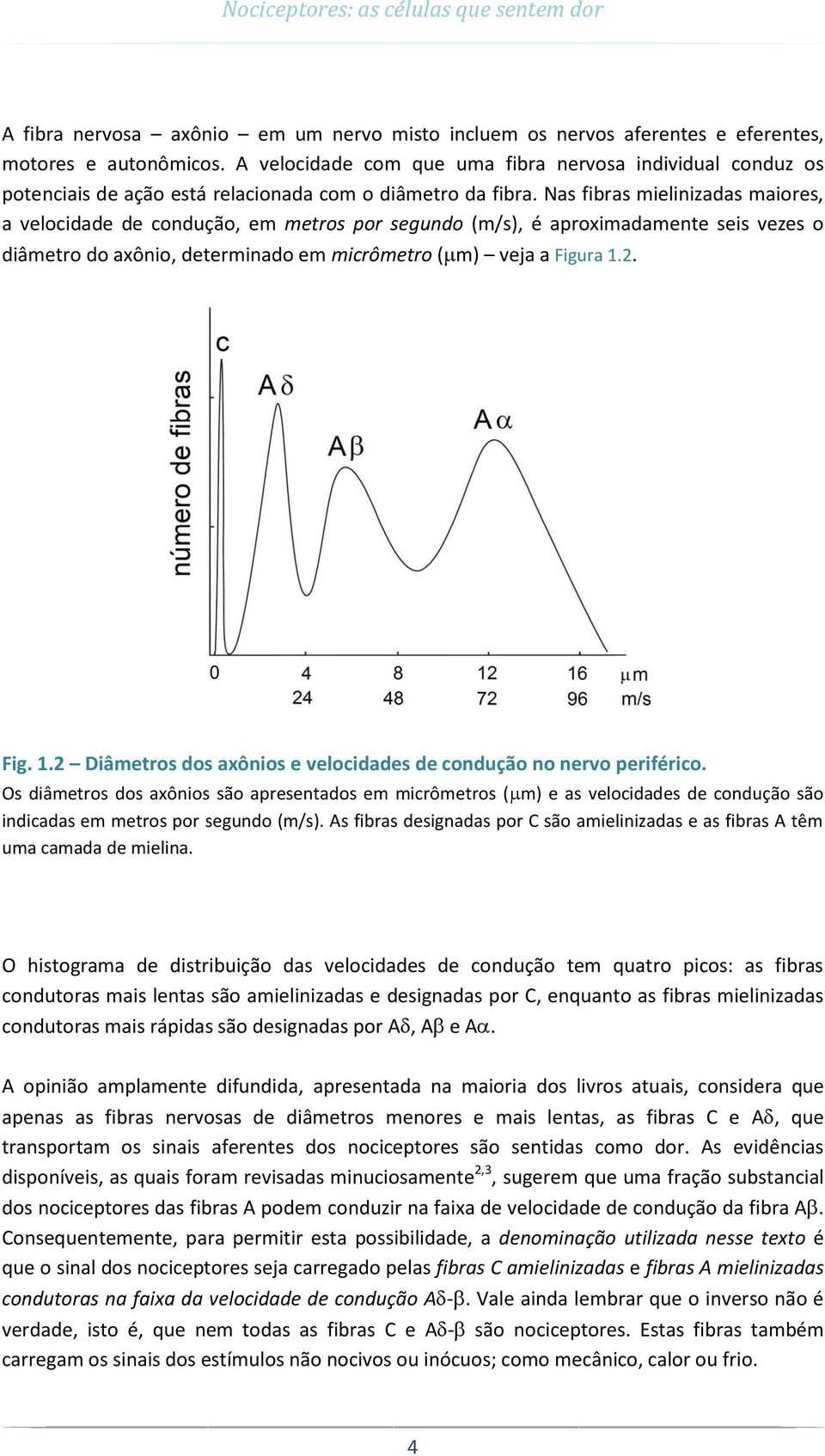 Nas fibras mielinizadas maiores, a velocidade de condução, em metros por segundo (m/s), é aproximadamente seis vezes o diâmetro do axônio, determinado em micrômetro ( m) veja a Figura 1.