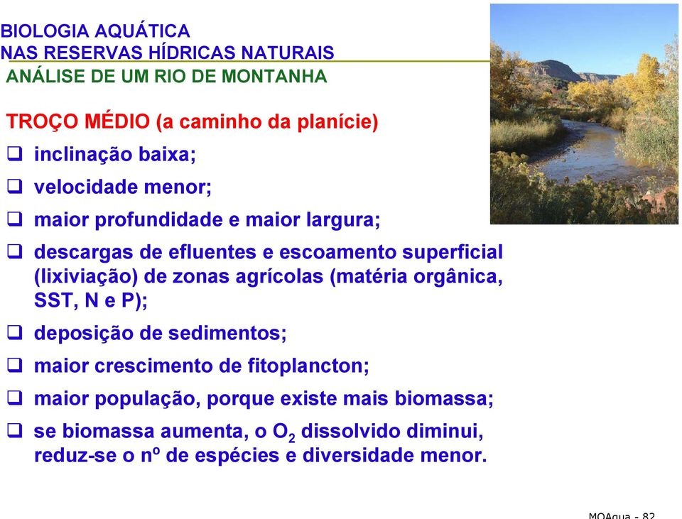 (lixiviação) de zonas agrícolas (matéria orgânica, SST, N e P); deposição de sedimentos; maior crescimento de fitoplancton;