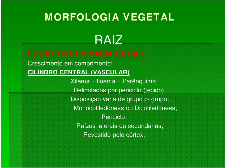 (tecido); Disposição varia de grupo p/ grupo; Monocotiledôneas ou