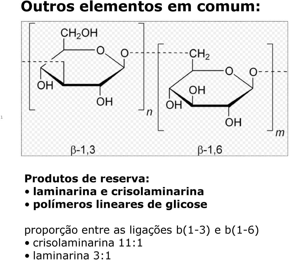 polímeros lineares de glicose proporção entre