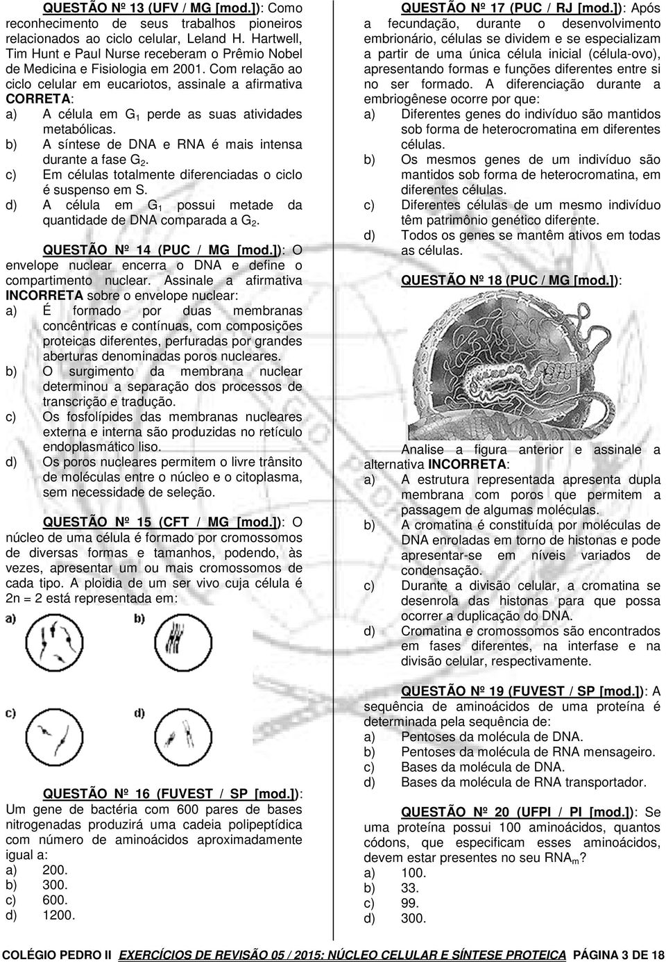 Com relação ao ciclo celular em eucariotos, assinale a afirmativa CORRETA: a) A célula em G 1 perde as suas atividades metabólicas. b) A síntese de DNA e RNA é mais intensa durante a fase G 2.