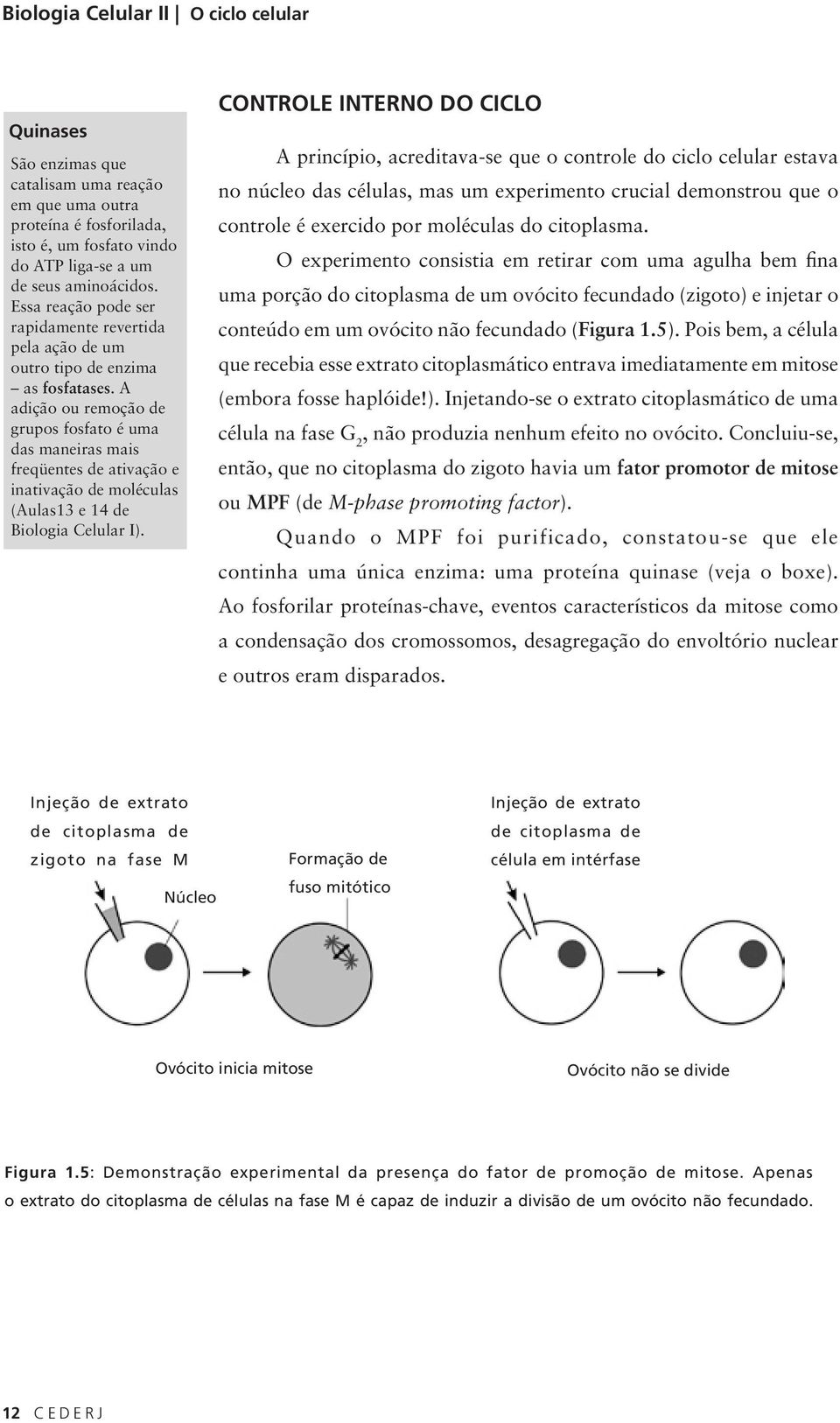 A adição ou remoção de grupos fosfato é uma das maneiras mais freqüentes de ativação e inativação de moléculas (Aulas13 e 14 de Biologia Celular I).