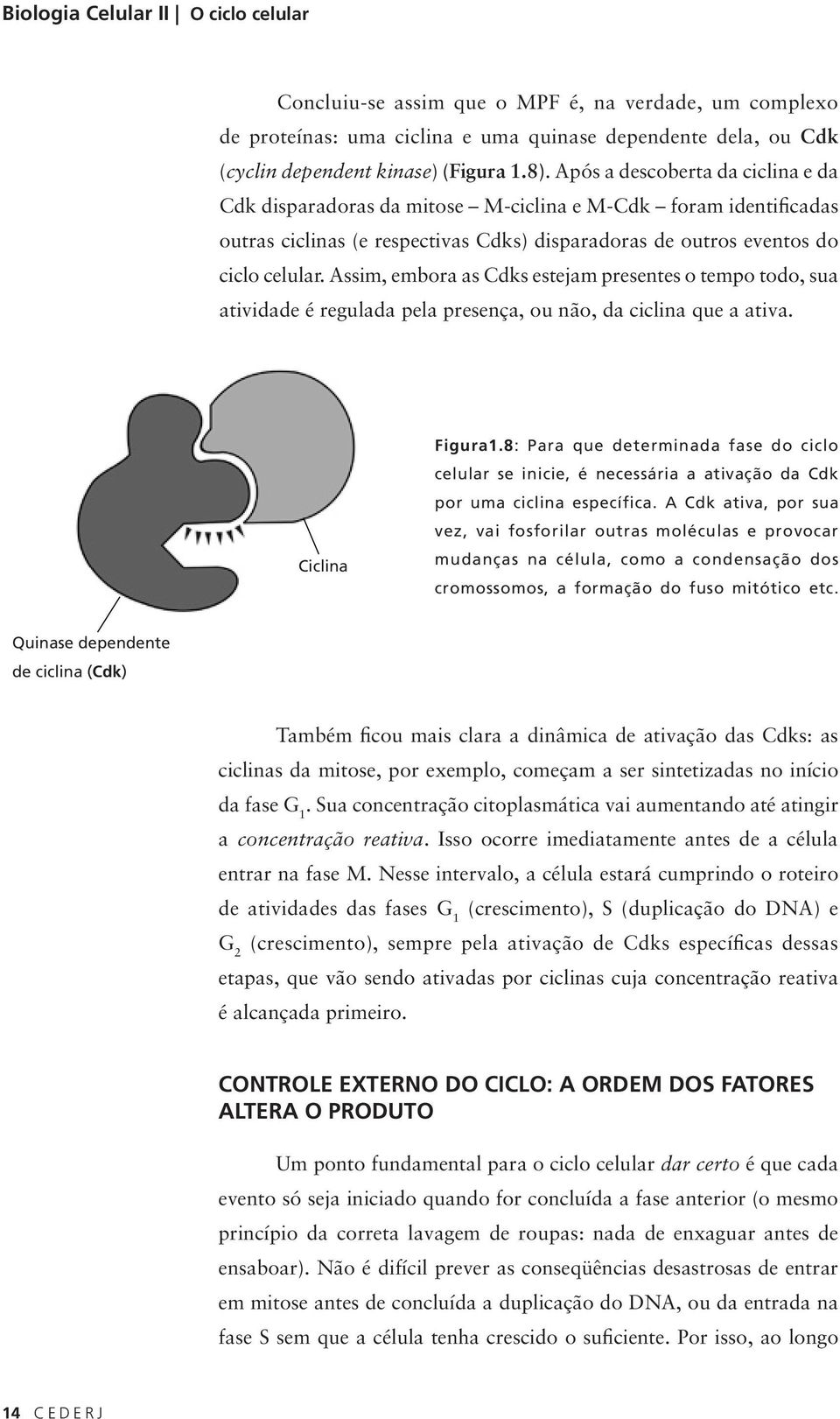 Assim, embora as Cdks estejam presentes o tempo todo, sua atividade é regulada pela presença, ou não, da ciclina que a ativa. Ciclina Figura1.