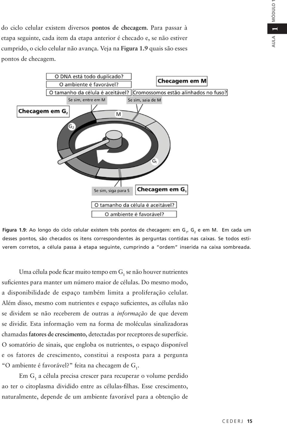 Em cada um desses pontos, são checados os itens correspondentes às perguntas contidas nas caixas.