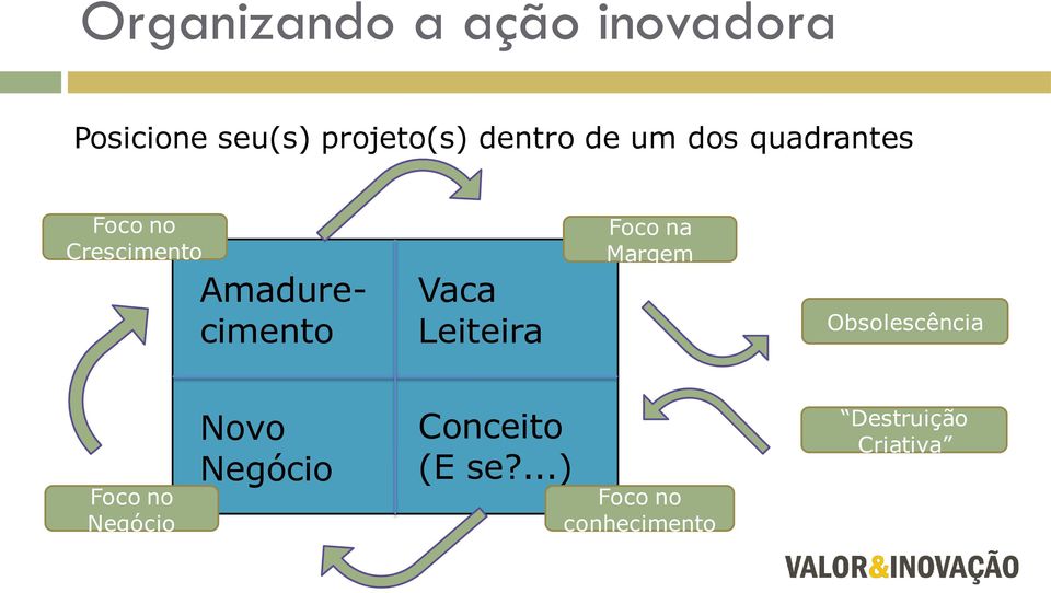 Vaca Leiteira Foco na Margem Obsolescência Foco no Negócio