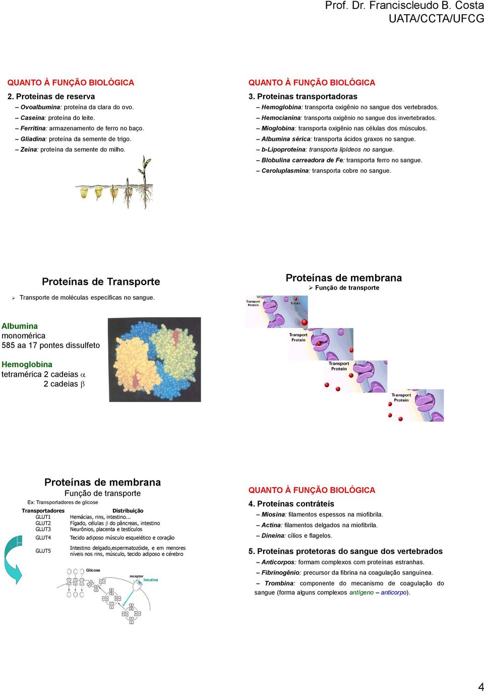 emocianina: transporta oxigênio no sangue dos invertebrados. Mioglobina: transporta oxigênio nas células dos músculos. Albumina sérica: transporta ácidos graxos no sangue.