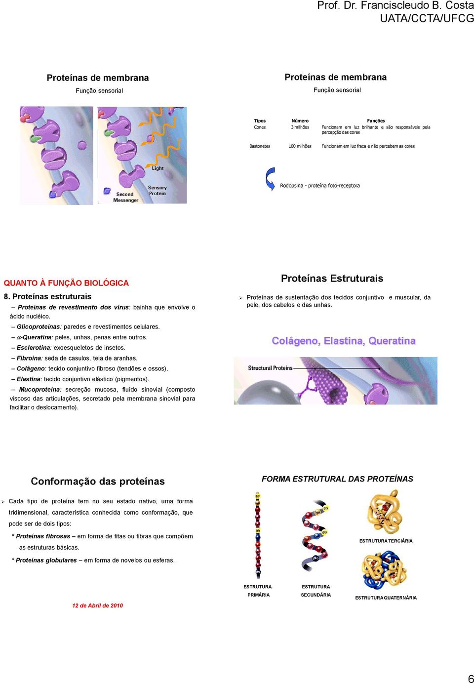 Proteínas estruturais Proteínas de revestimento dos vírus: bainha que envolve o ácido nucléico. Glicoproteínas: paredes e revestimentos celulares. -Queratina: peles, unhas, penas entre outros.