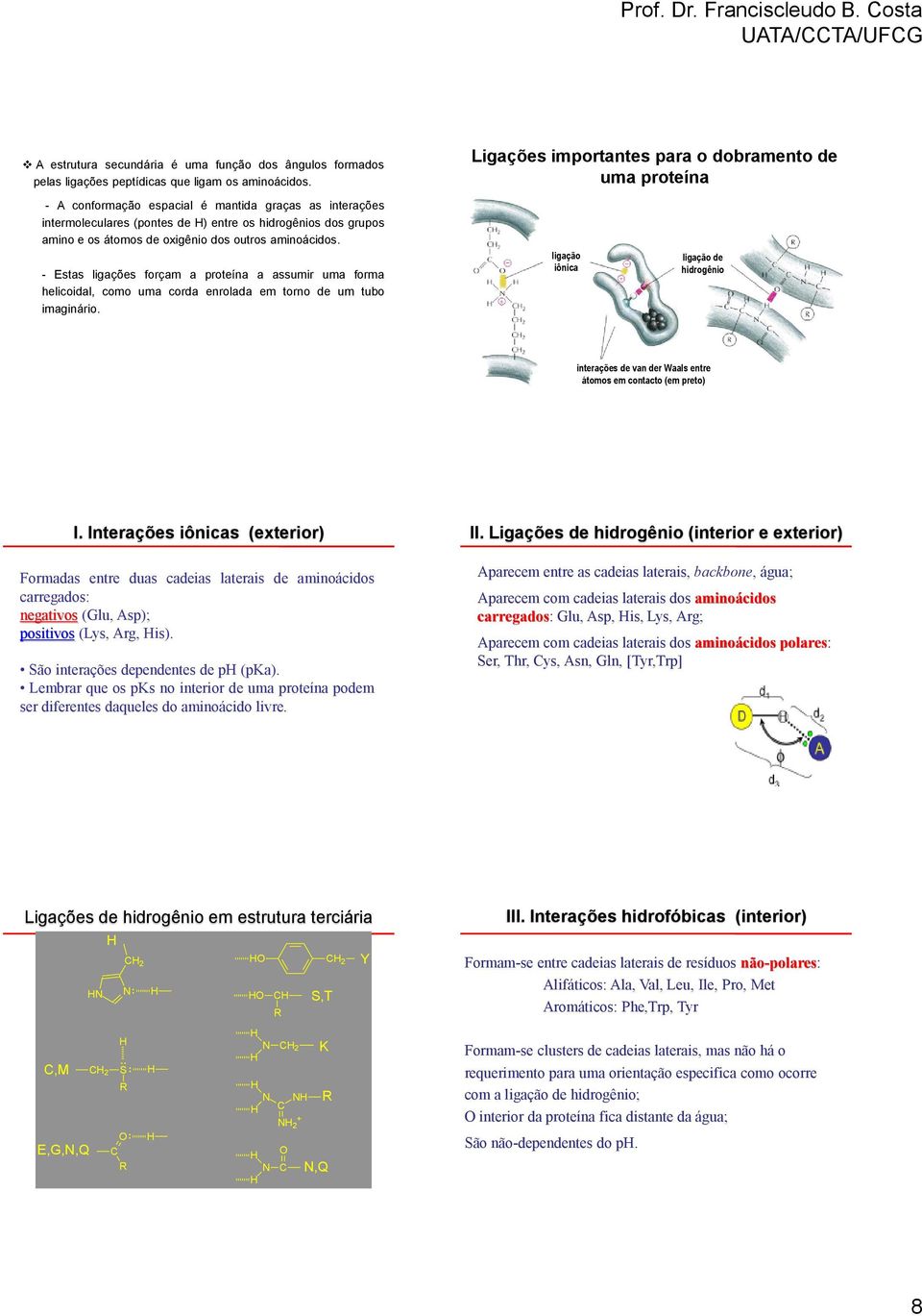 oxigênio dos outros aminoácidos. - Estas ligações forçam a proteína a assumir uma forma helicoidal, como uma corda enrolada em torno de um tubo imaginário.