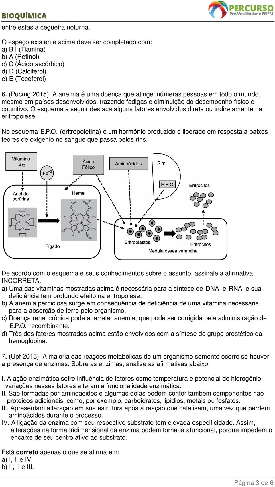 O esquema a seguir destaca alguns fatores envolvidos direta ou indiretamente na eritropoiese. No esquema E.P.O. (eritropoietina) é um hormônio produzido e liberado em resposta a baixos teores de oxigênio no sangue que passa pelos rins.