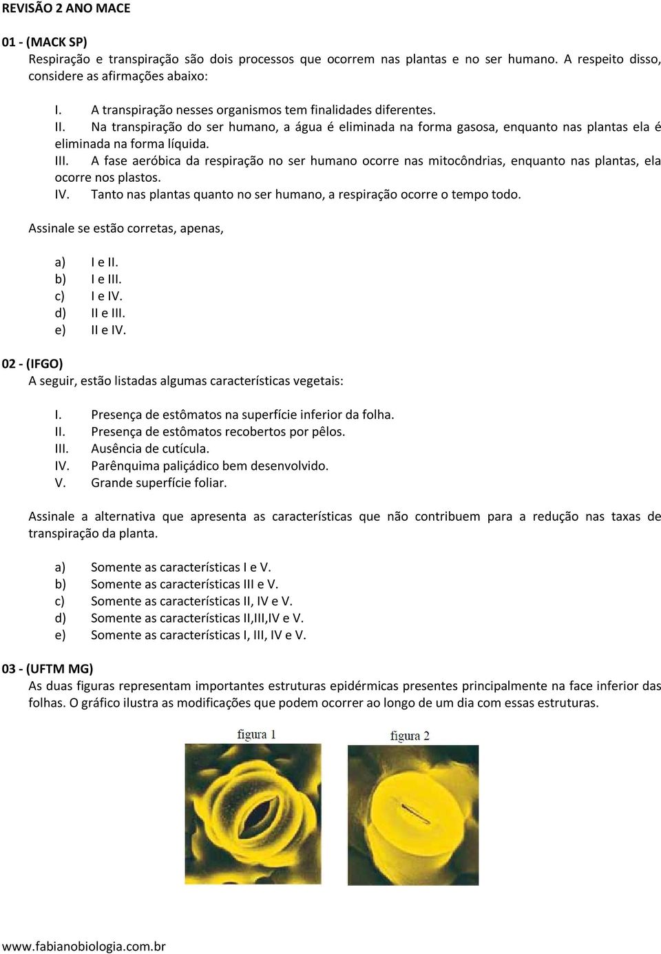 A fase aeróbica da respiração no ser humano ocorre nas mitocôndrias, enquanto nas plantas, ela ocorre nos plastos. IV. Tanto nas plantas quanto no ser humano, a respiração ocorre o tempo todo.