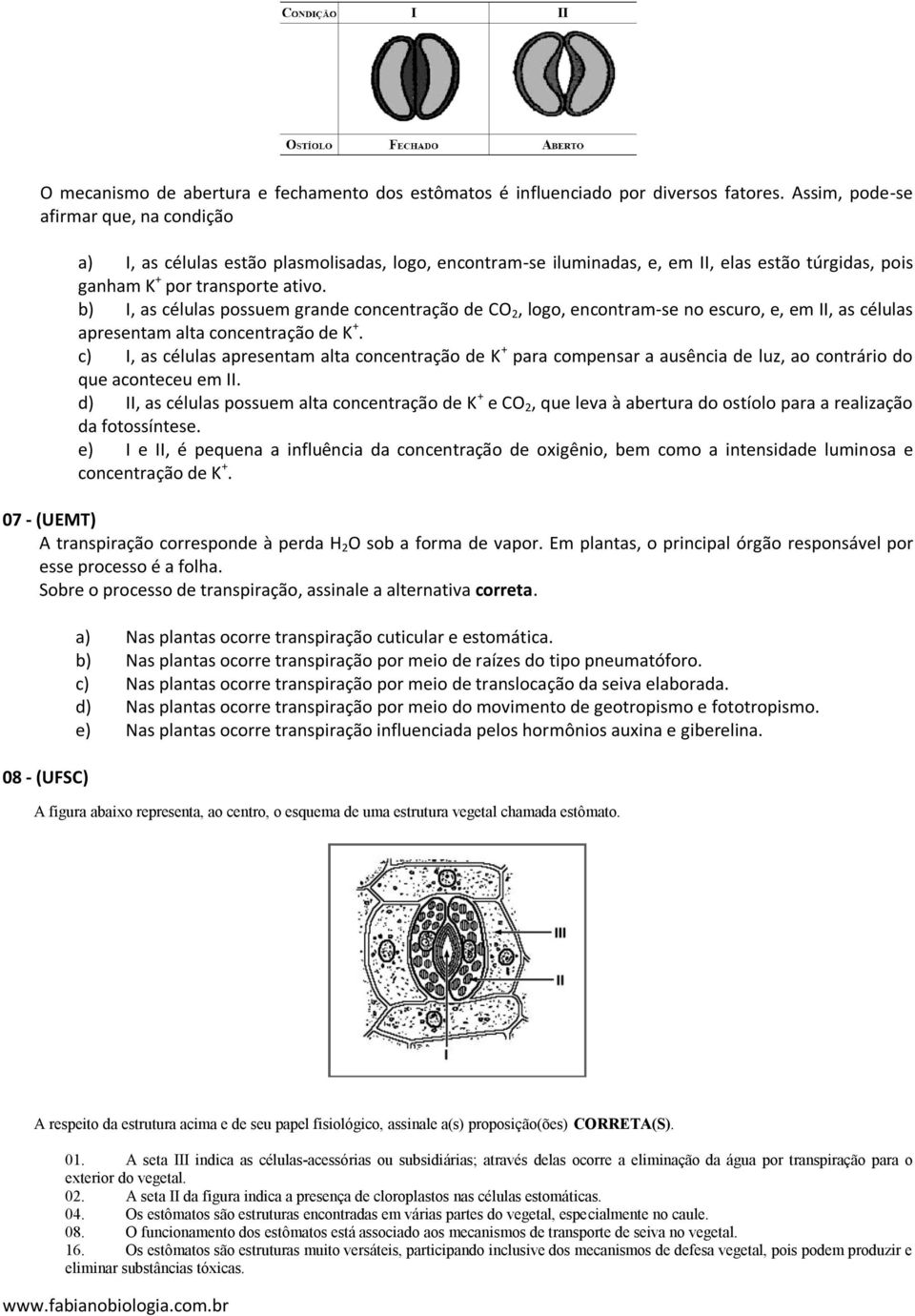 b) I, as células possuem grande concentração de CO 2, logo, encontram-se no escuro, e, em II, as células apresentam concentração de K +.