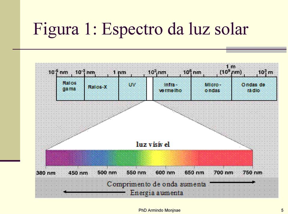 luz solar PhD