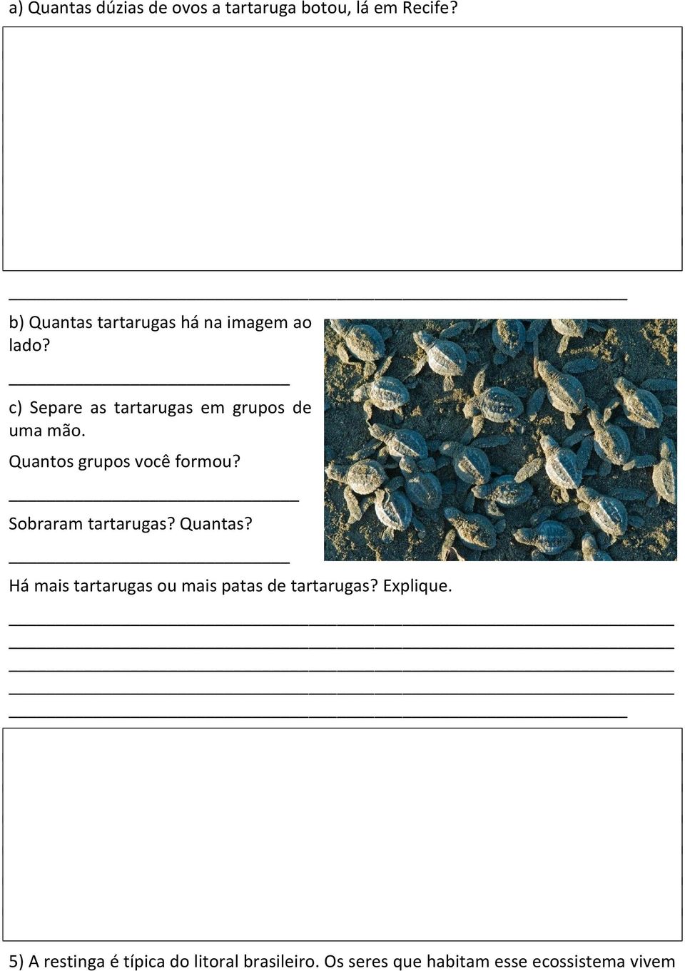 Quantos grupos você formou? Sobraram tartarugas? Quantas?