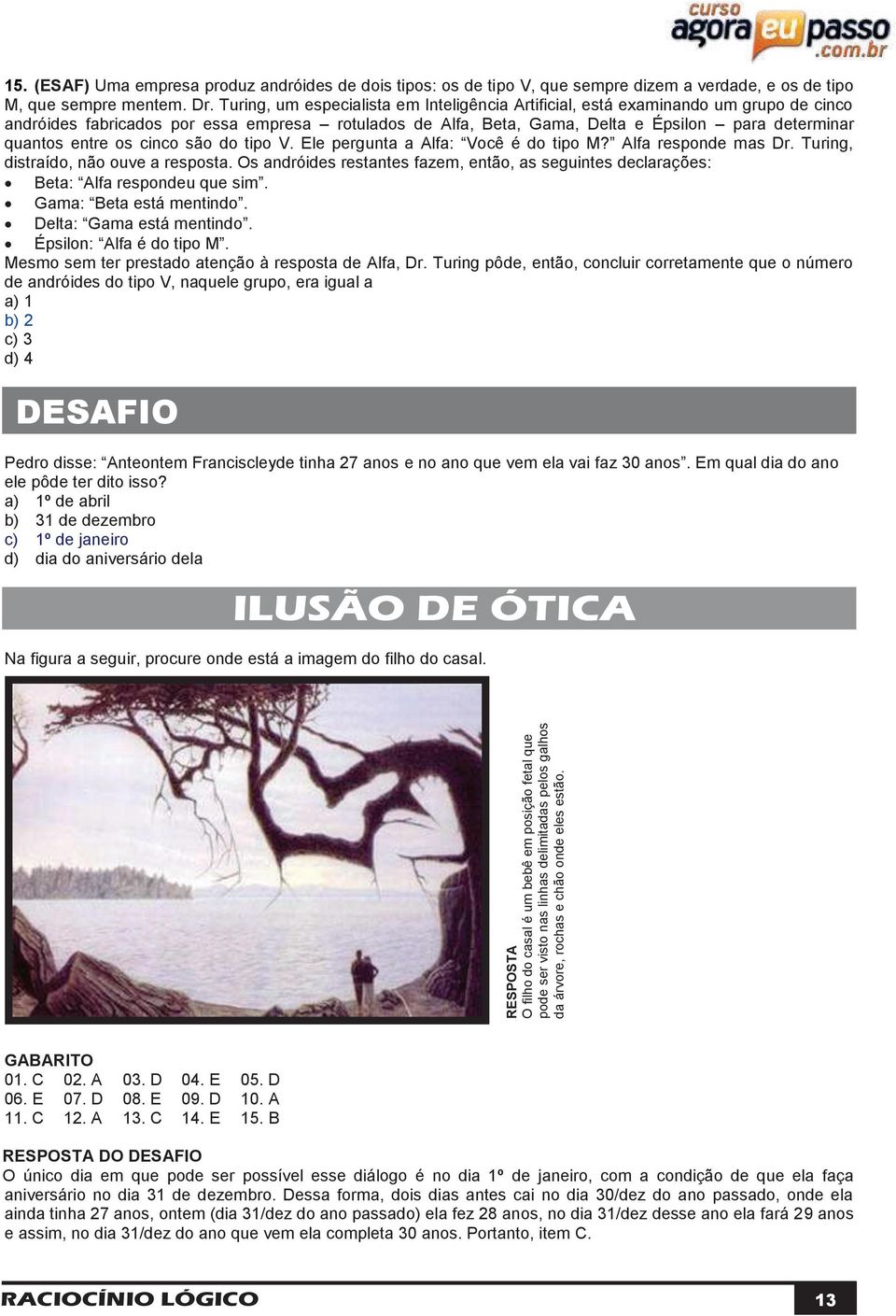 entre os cinco são do tipo V. Ele pergunta a Alfa: Você é do tipo M? Alfa responde mas Dr. Turing, distraído, não ouve a resposta.