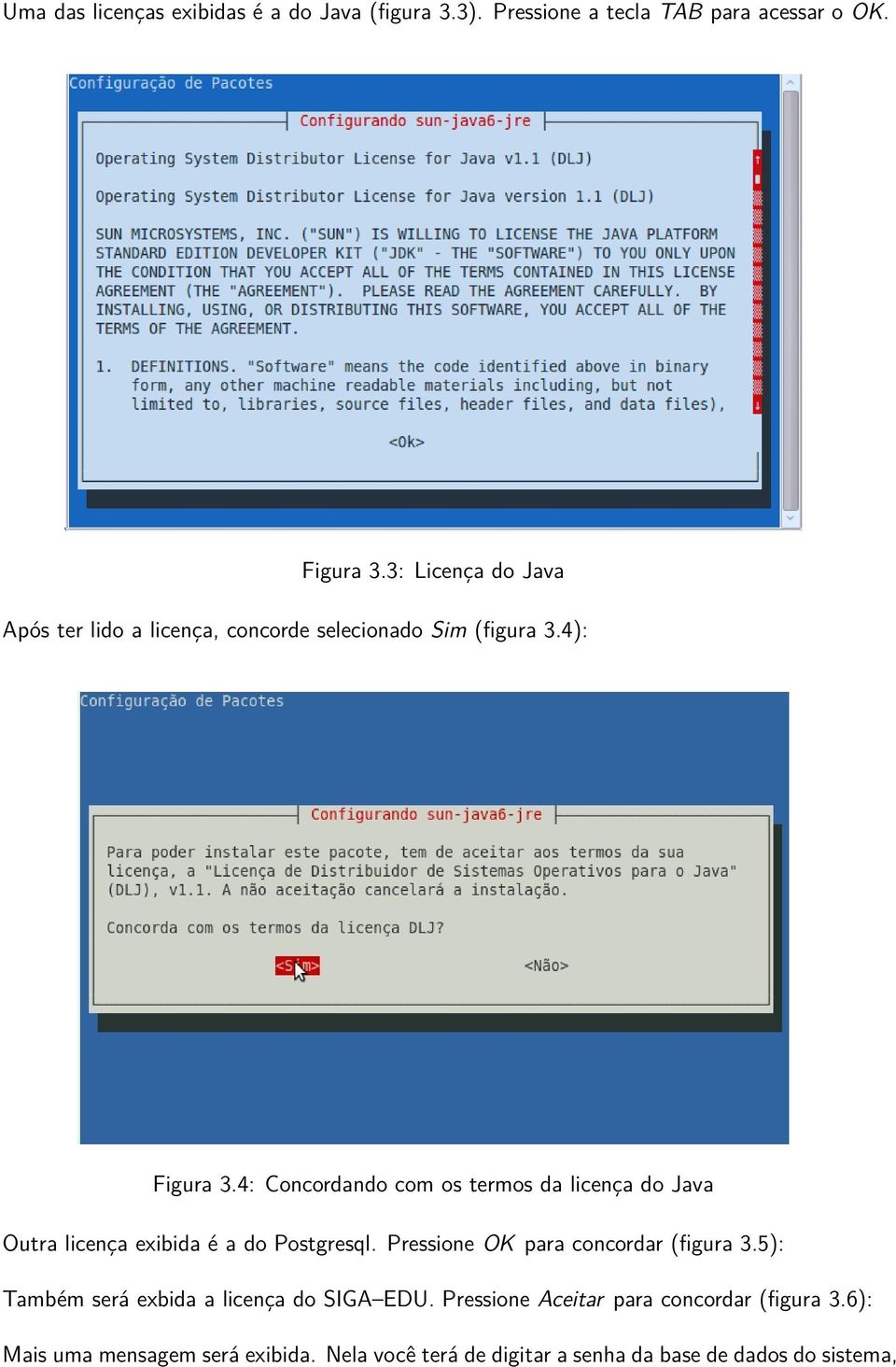 4: Concordando com os termos da licença do Java Outra licença exibida é a do Postgresql. Pressione OK para concordar (figura 3.