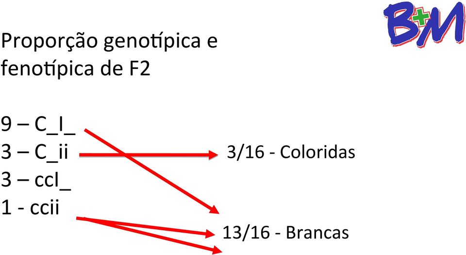 C_ii 3/16 - Coloridas 3