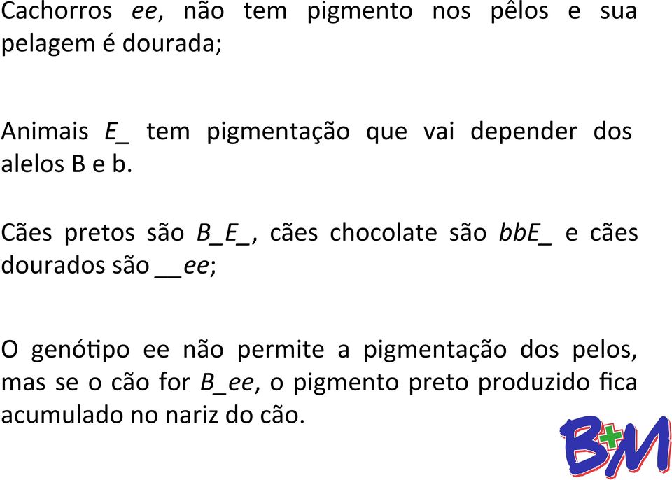 Cães pretos são B_E_, cães chocolate são bbe_ e cães dourados são ee; O genótipo