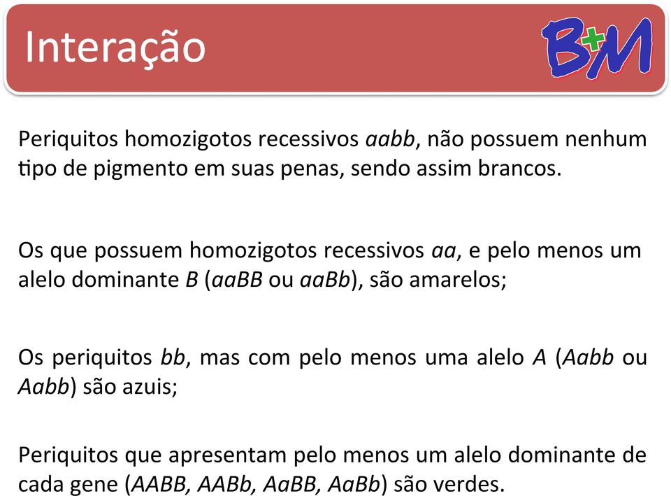 Os que possuem homozigotos recessivos aa, e pelo menos um alelo dominante B (aabb ou aabb), são