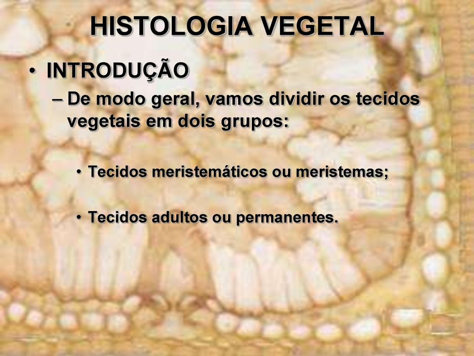 grupos: Tecidos meristemáticos ou