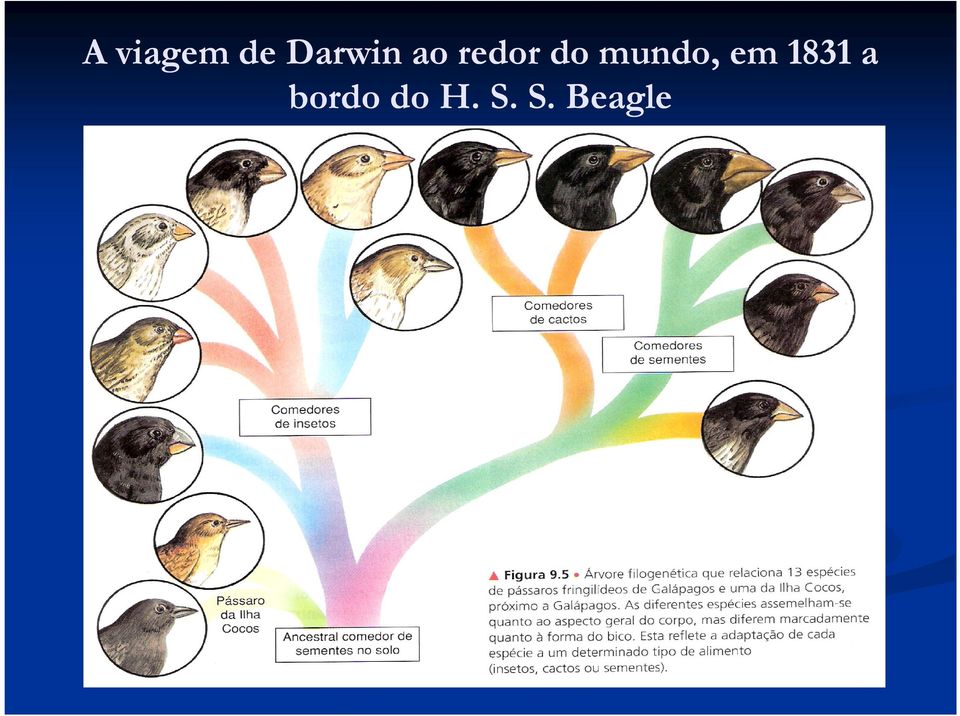 do mundo, em 1831