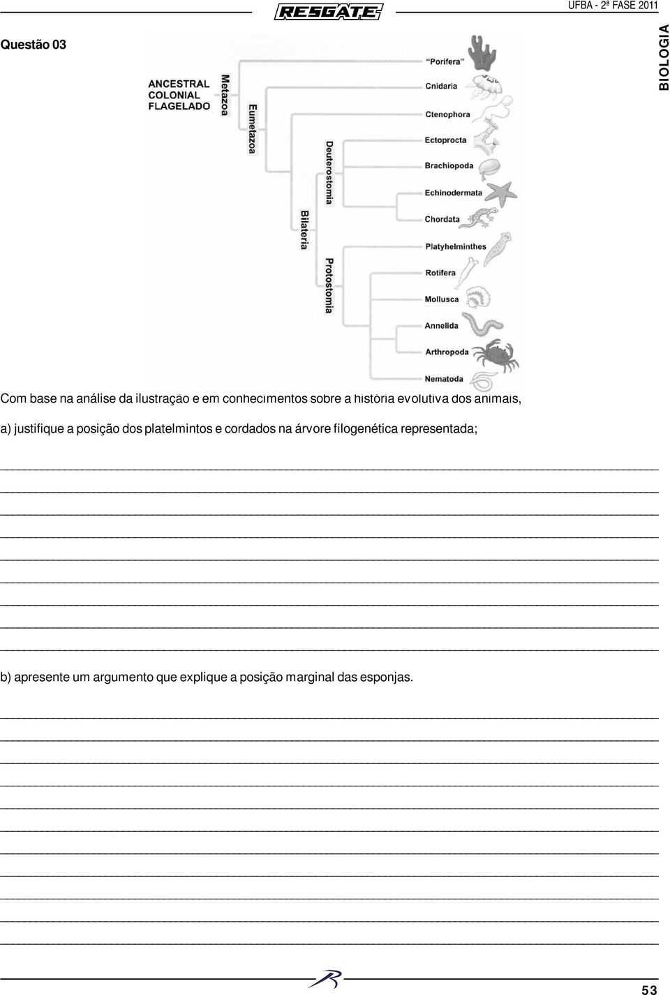posição dos platelmintos e cordados na árvore filogenética