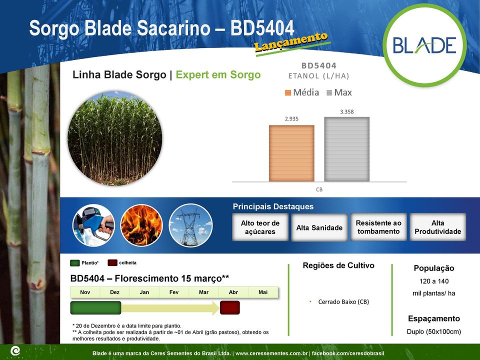 BD5404 Florescimento 15 março** Nov Dez Jan Fev Mar Abr Mai * 20 de Dezembro é a data limite para plantio.