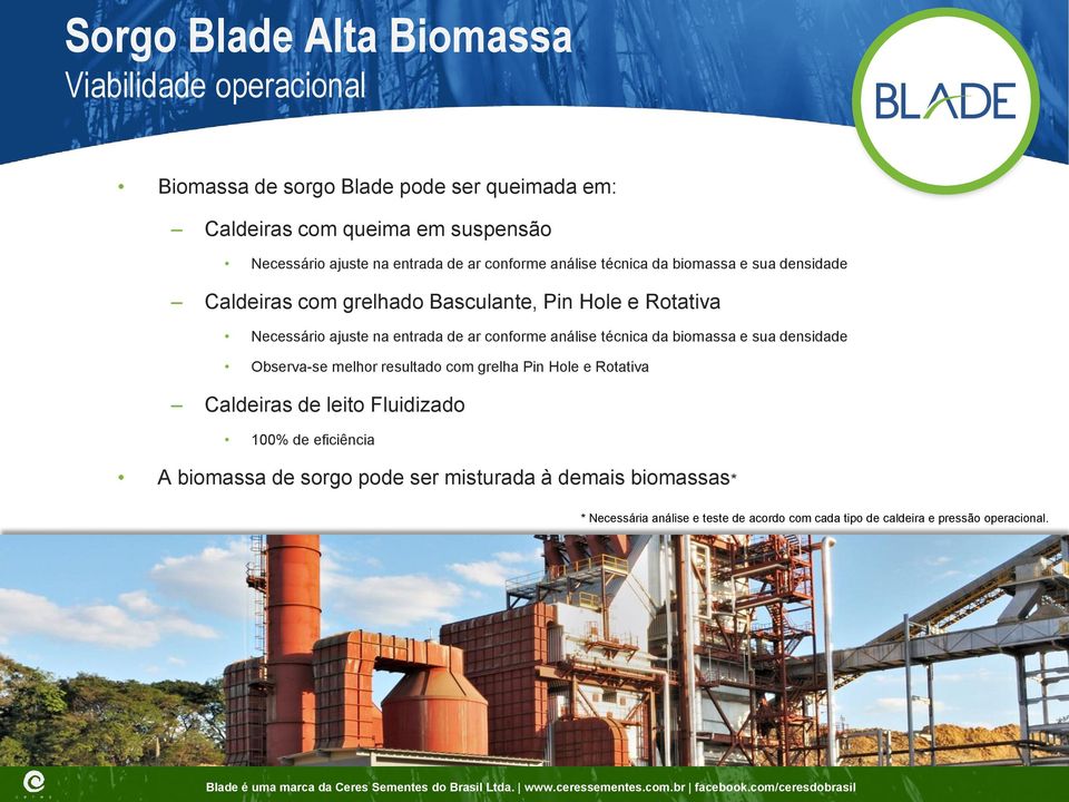 ar conforme análise técnica da biomassa e sua densidade Observa-se melhor resultado com grelha Pin Hole e Rotativa Caldeiras de leito Fluidizado 100% de