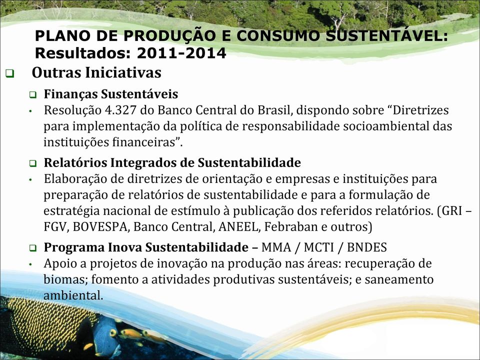 Relatórios Integrados de Sustentabilidade Elaboração de diretrizes de orientação e empresas e instituições para preparação de relatórios de sustentabilidade e para a formulação de