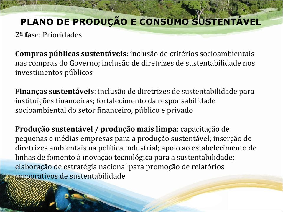 do setor ninanceiro, público e privado Produção sustentável / produção mais limpa: capacitação de pequenas e médias empresas para a produção sustentável; inserção de diretrizes ambientais na