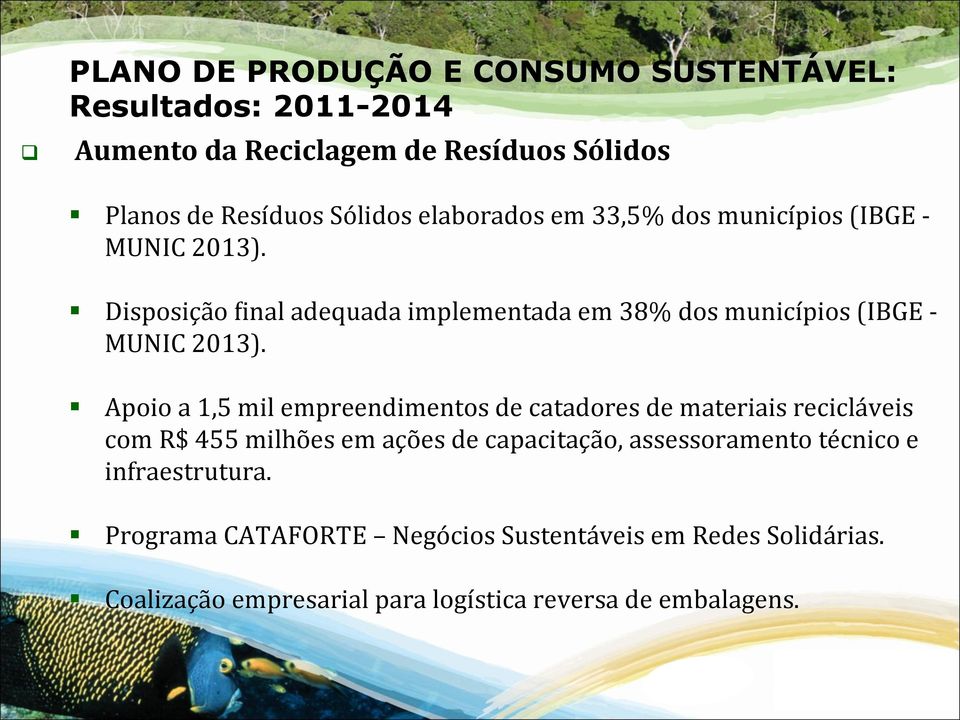 Apoio a 1,5 mil empreendimentos de catadores de materiais recicláveis com R$ 455 milhões em ações de capacitação,