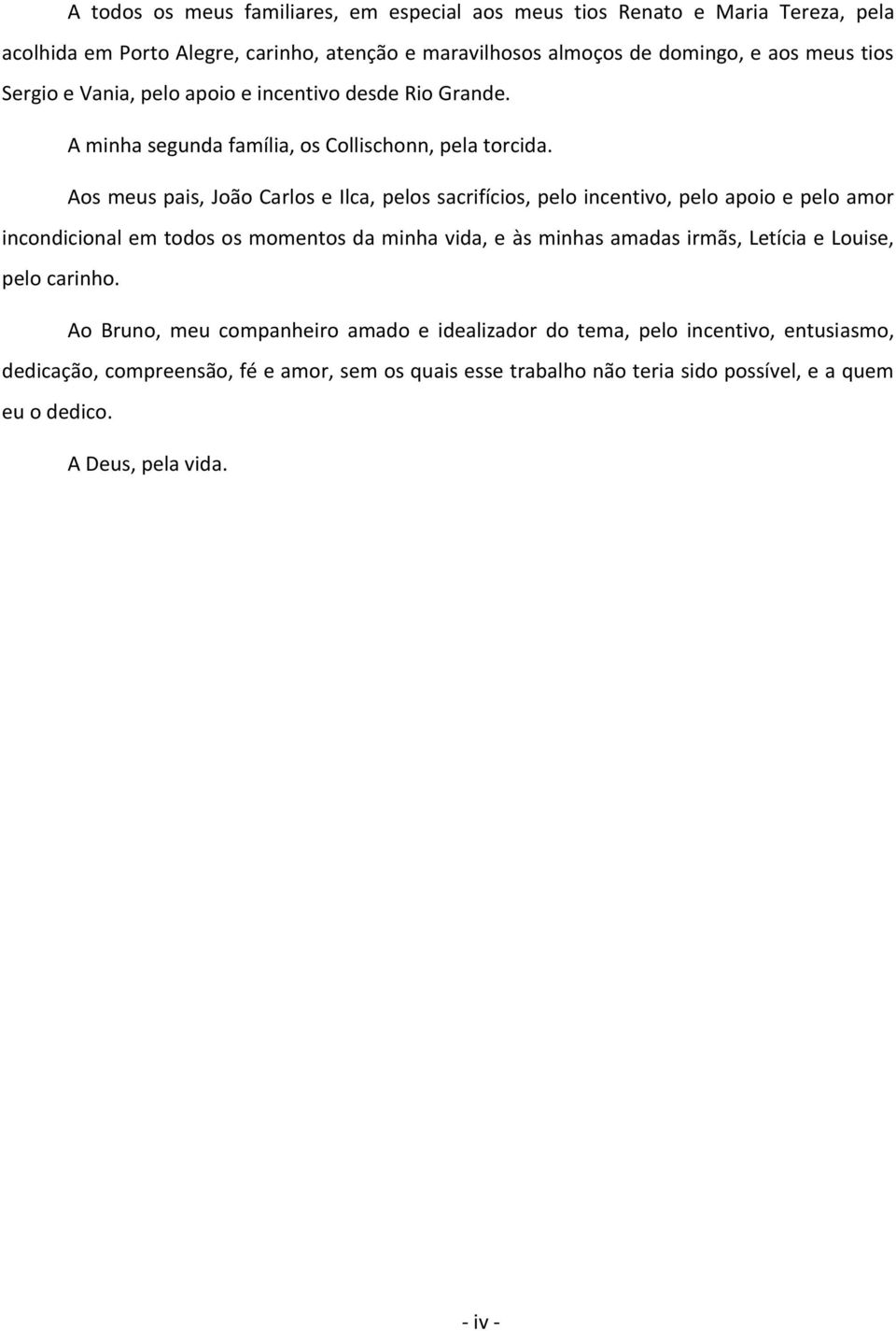 Aos meus pais, João Carlos e Ilca, pelos sacrifícios, pelo incentivo, pelo apoio e pelo amor incondicional em todos os momentos da minha vida, e às minhas amadas irmãs, Letícia