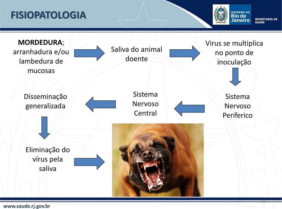 de inoculação Disseminação generalizada Sistema Nervoso