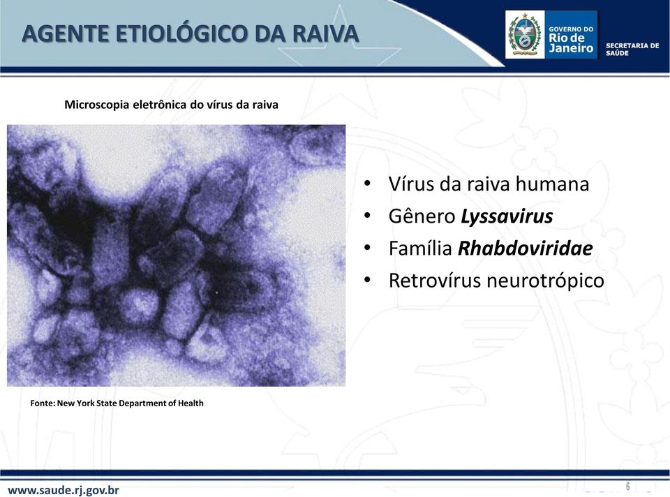 Lyssavirus Família Rhabdoviridae Retrovírus