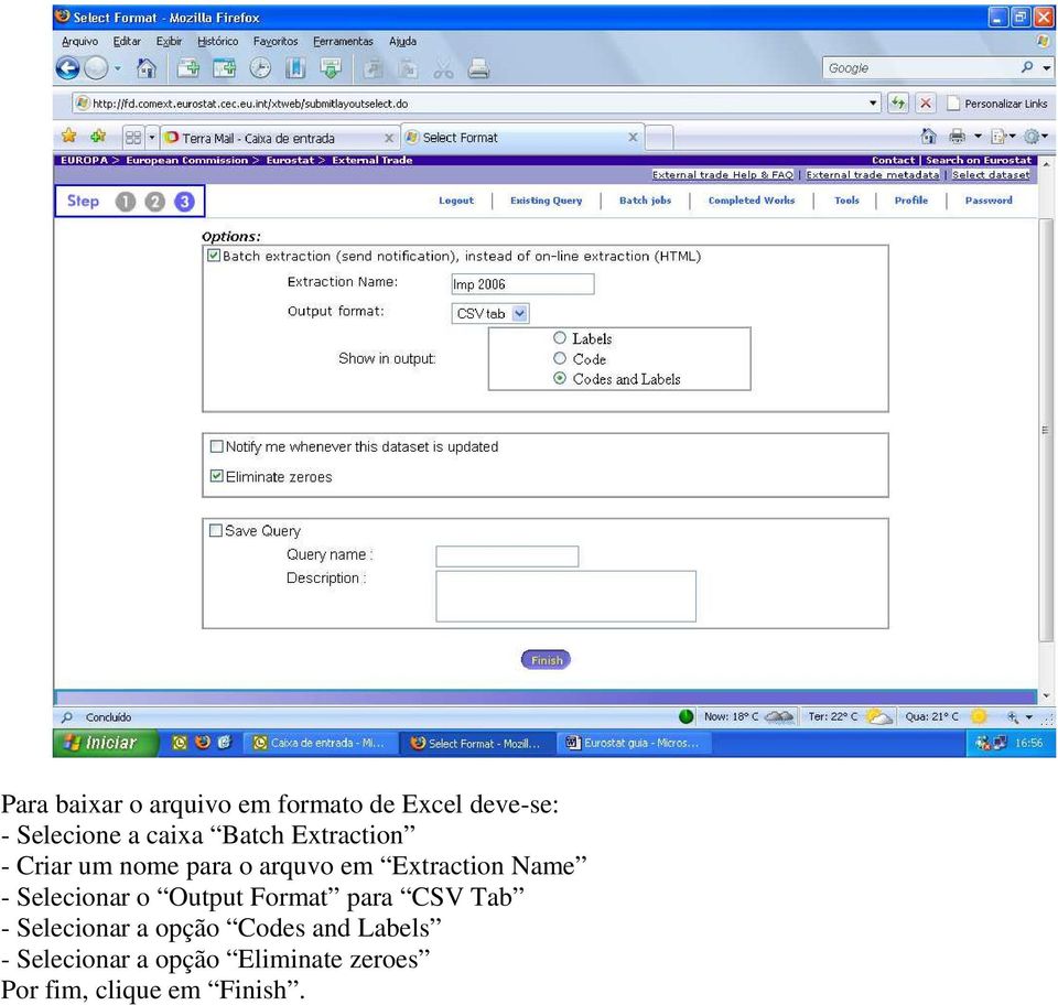 Selecionar o Output Format para CSV Tab - Selecionar a opção Codes and