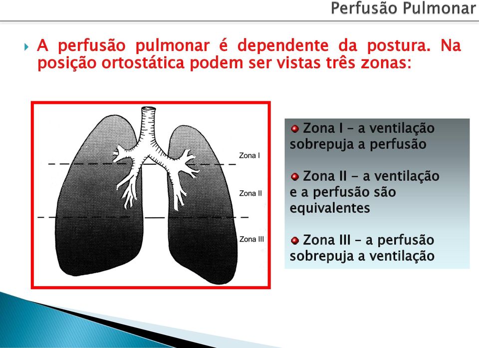 a ventilação sobrepuja a perfusão Zona II - a ventilação e