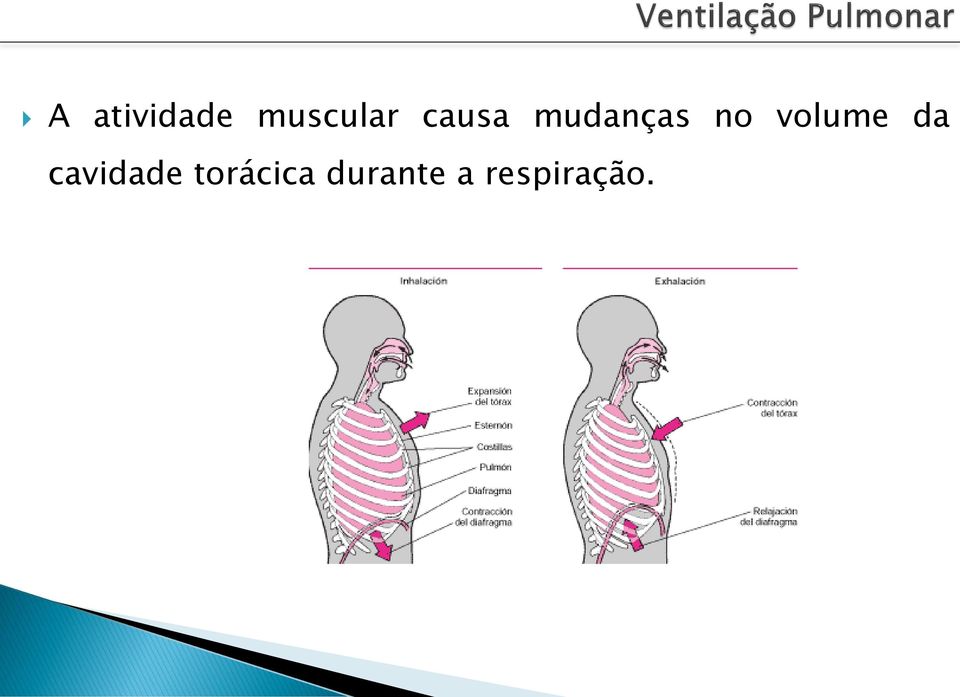 volume da cavidade