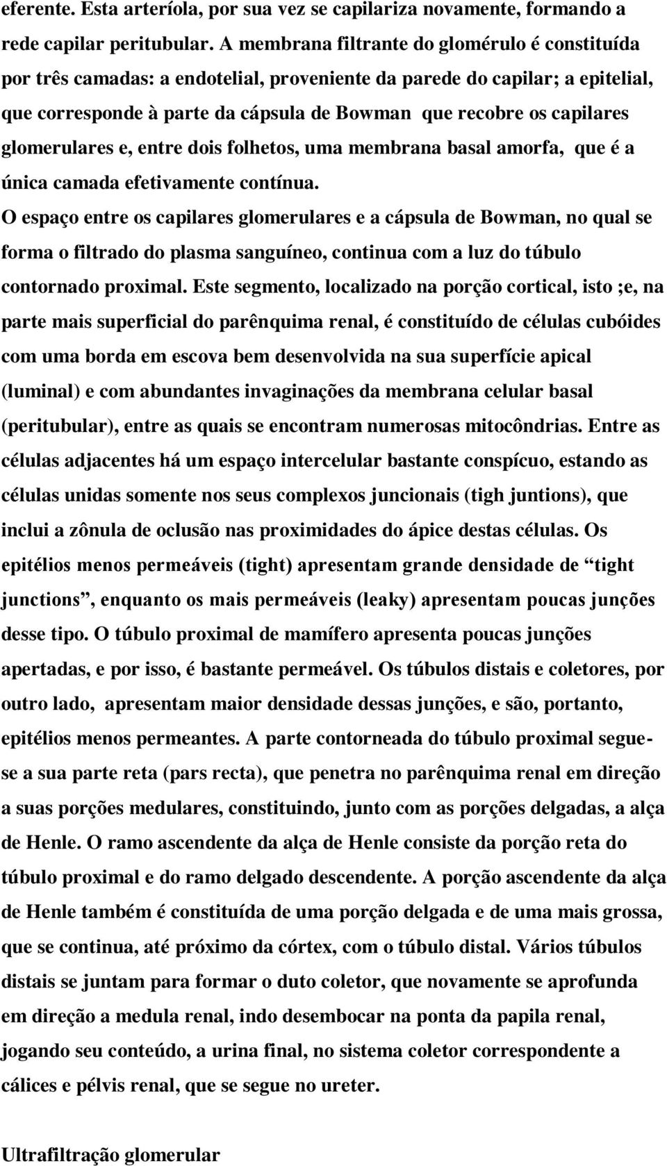 glomerulares e, entre dois folhetos, uma membrana basal amorfa, que é a única camada efetivamente contínua.