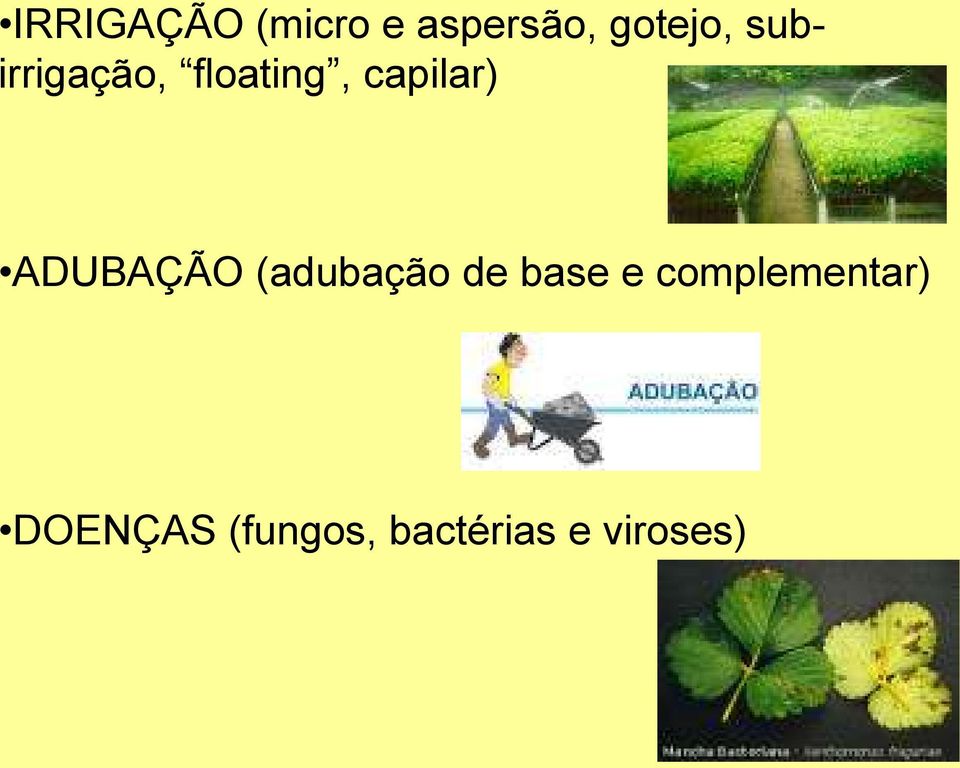 ADUBAÇÃO (adubação de base e