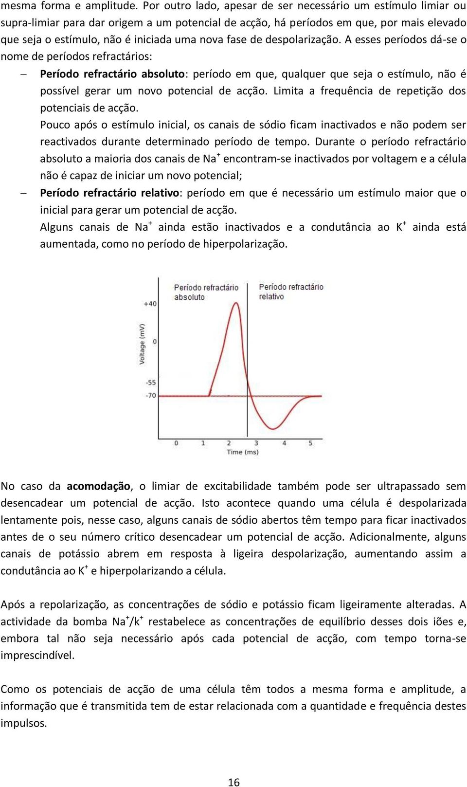 fase de despolarização.