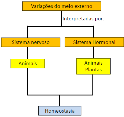 A capacidade de sobrevivência dos organismos depende da capacidade de: Detectarem