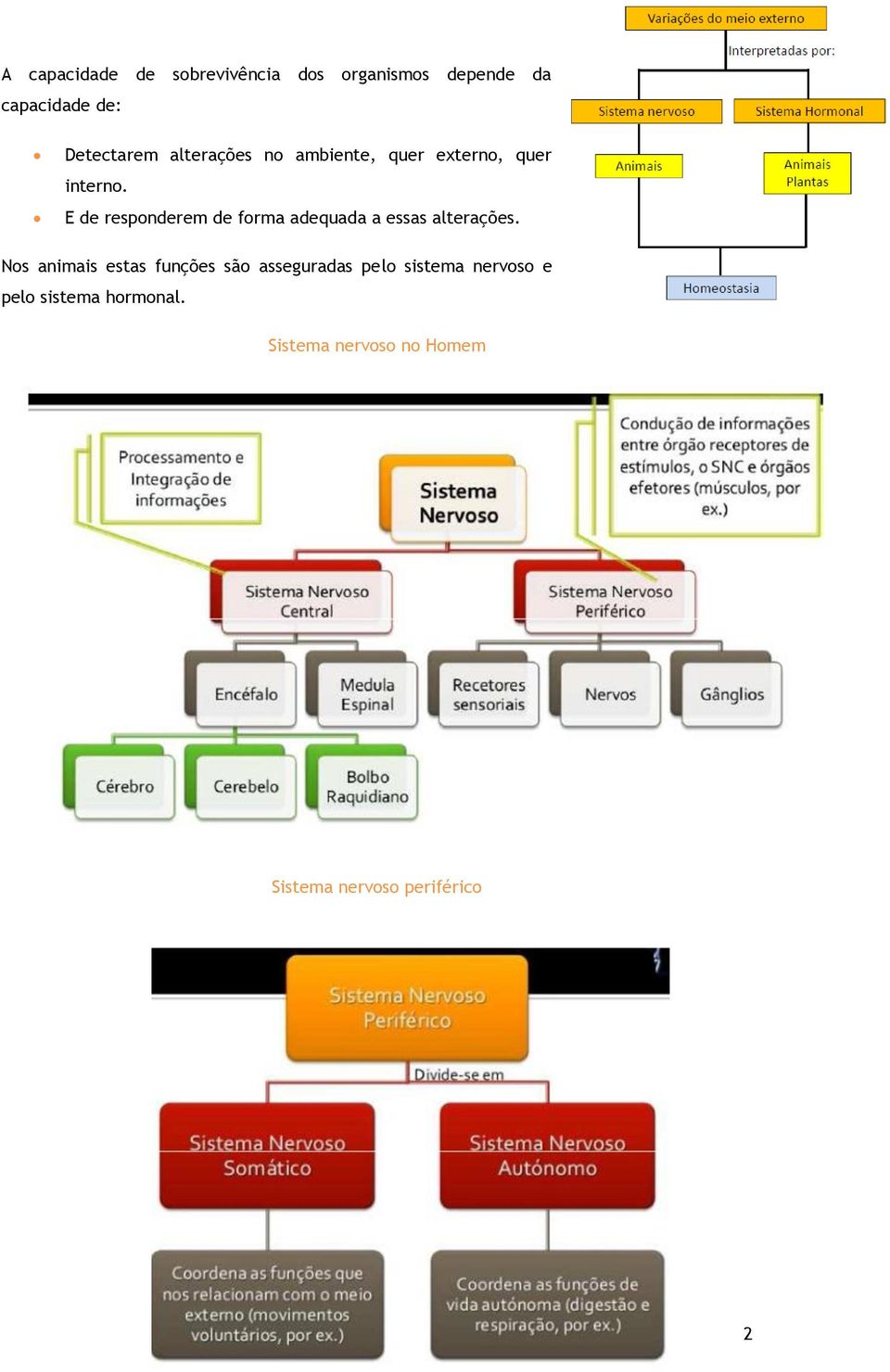 E de responderem de forma adequada a essas alterações.