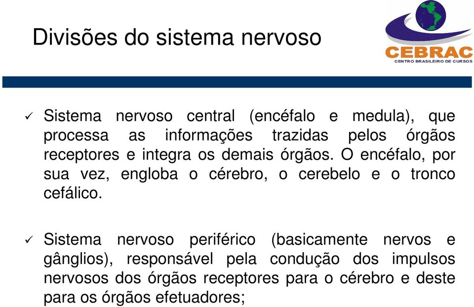 O encéfalo, por sua vez, engloba o cérebro, o cerebelo e o tronco cefálico.