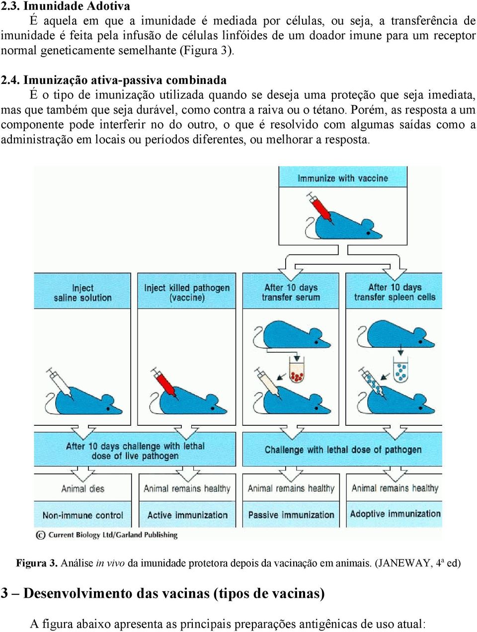 Imunização ativa-passiva combinada É o tipo de imunização utilizada quando se deseja uma proteção que seja imediata, mas que também que seja durável, como contra a raiva ou o tétano.