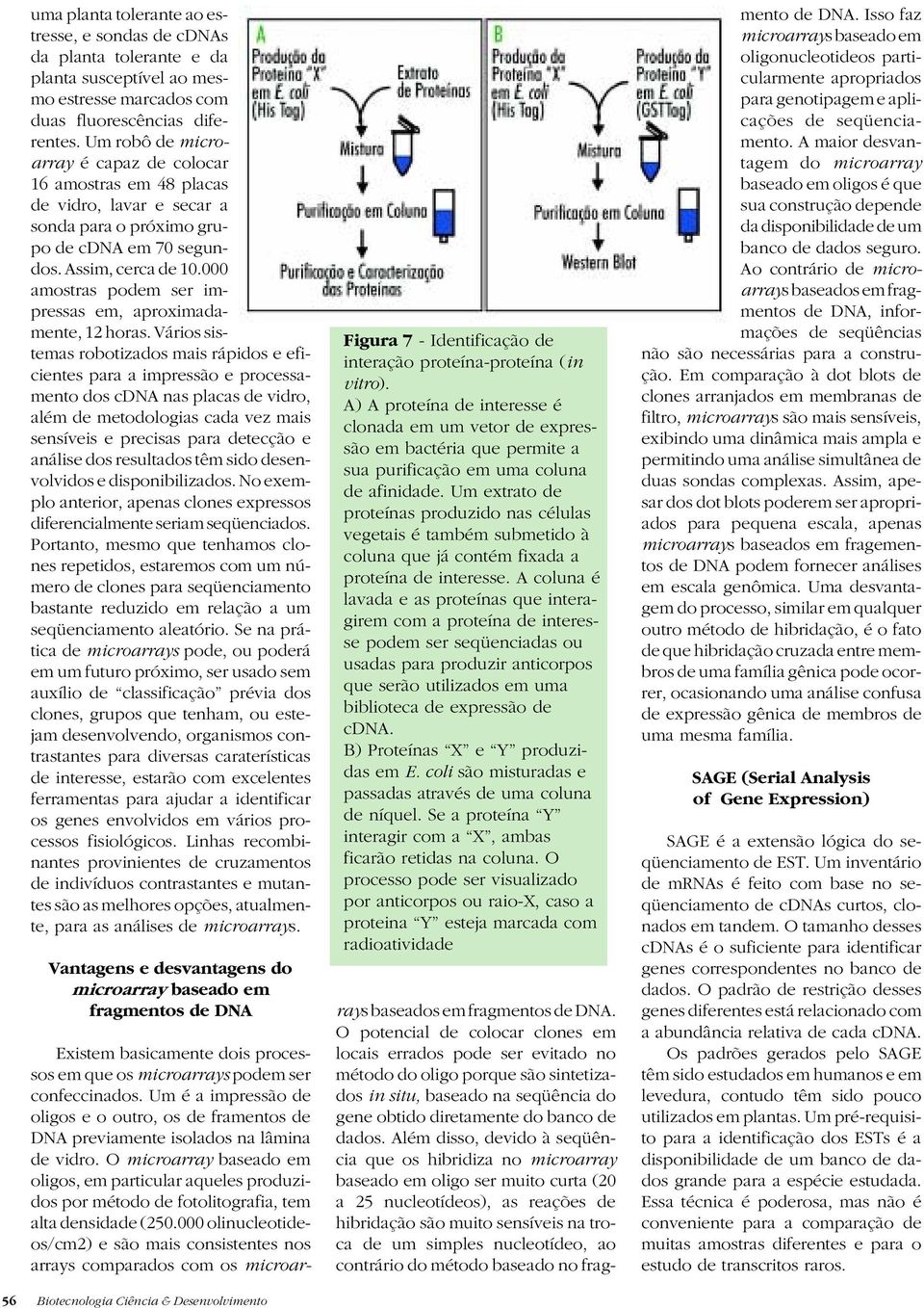 000 amostras podem ser impressas em, aproximadamente, 12 horas.