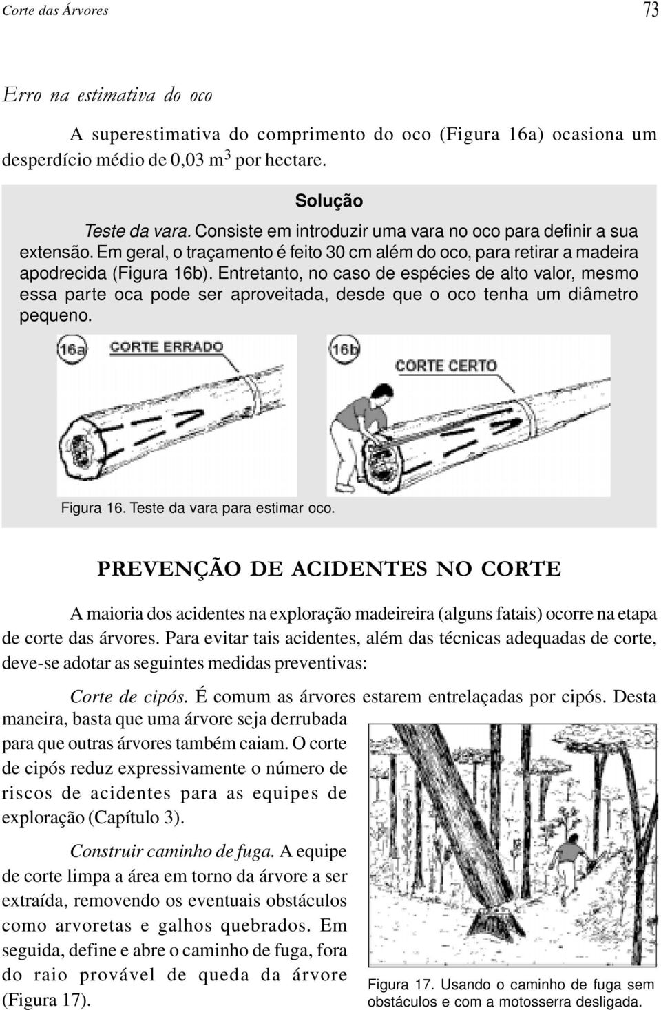 Entretanto, no caso de espécies de alto valor, mesmo essa parte oca pode ser aproveitada, desde que o oco tenha um diâmetro pequeno. Figura 16. Teste da vara para estimar oco.