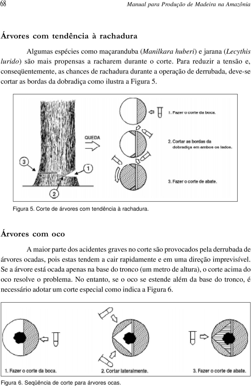 Figura 5. Corte de árvores com tendência à rachadura.